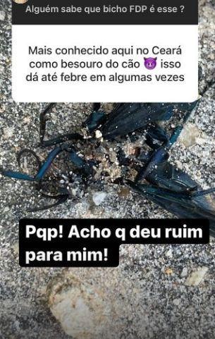 André Marques é picado por vespa - Crédito: Reprodução / Instagram