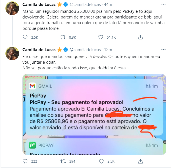 Camilla de Lucas devolve dinheiro que recebeu de fã - Crédito: Reprodução / Twitter