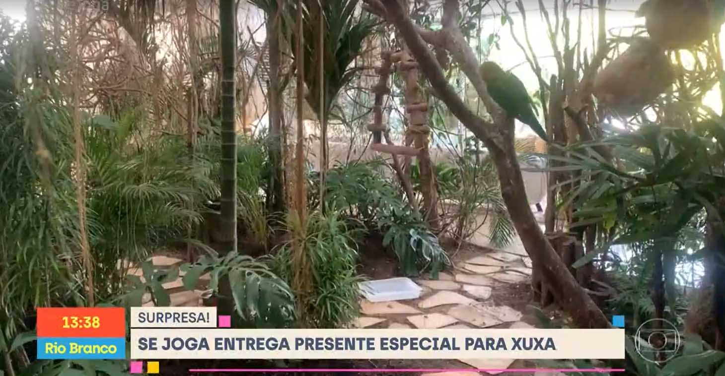 Jardim interno na mansão de Xuxa Meneghel - Crédito: Reprodução / Globo