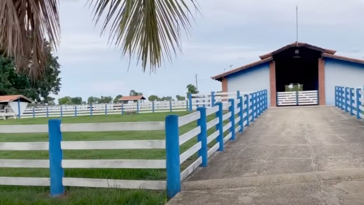 Detalhes da fazenda É o Amor, que pertence à família de Zezé Di Camargo - Crédito: Reprodução / YouTube