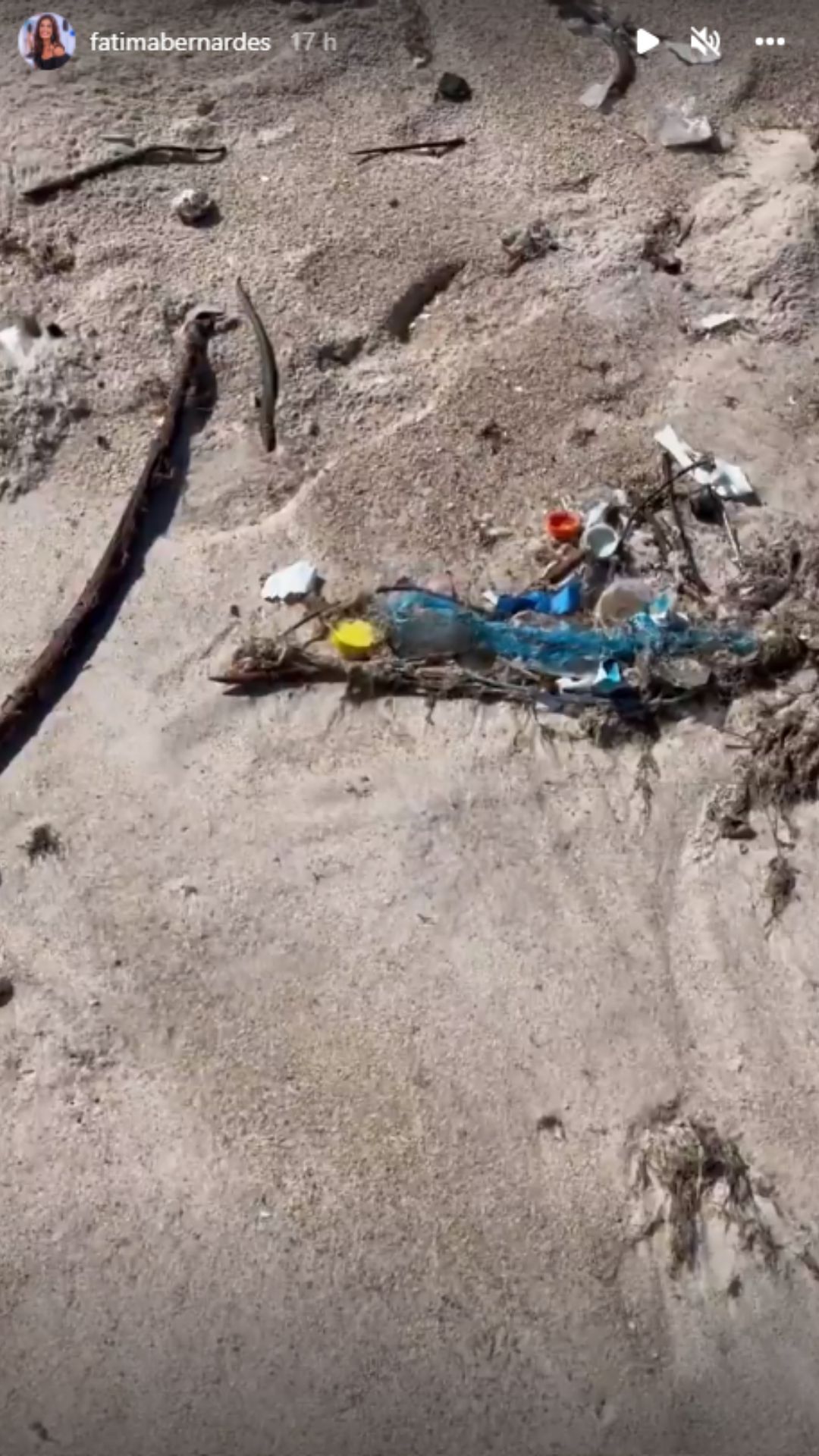 Fátima Bernardes exibe lixo na praia. Reprodução/Instagram