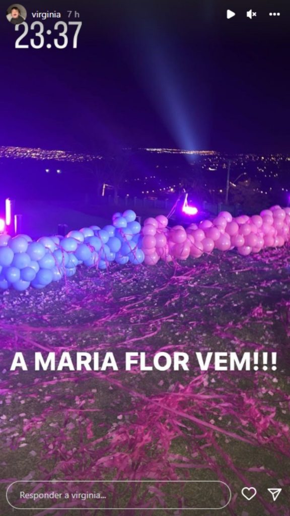 Story de Virginia. Reprodução/Instagram