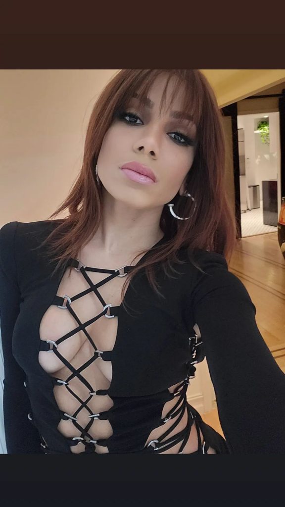 Story de Anitta. Reprodução/Instagram