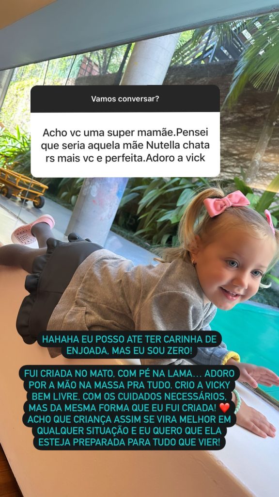 Story de Ana Paula Siebert. Reprodução/Instagram