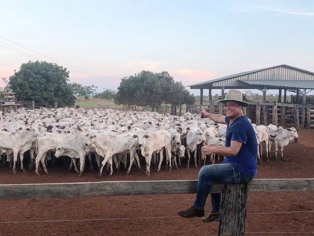 Fazenda Talismã (Reprodução/Instagram)