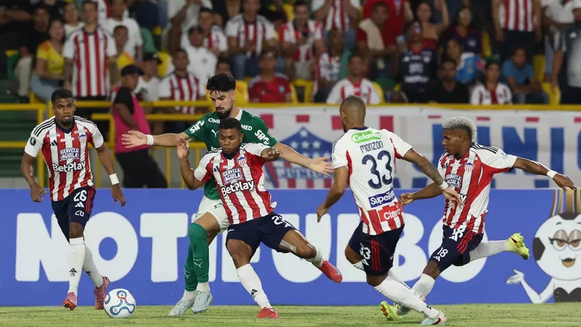 Libertadores hoje: onde assistir aos jogos de Palmeiras e Cruzeiro ...